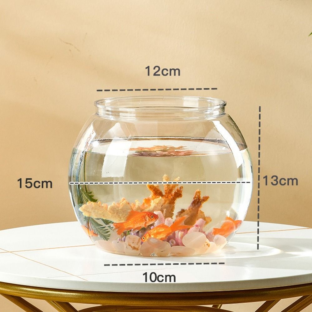 Aquarium Fish Names - Home Decor Clear Transparent Round Fish