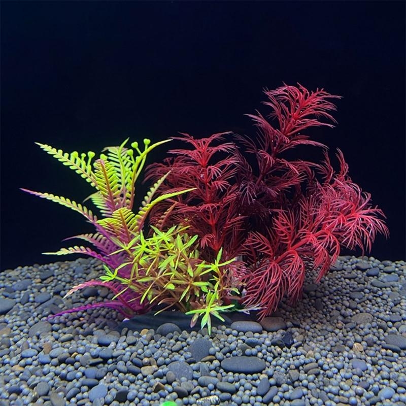 Aquarium Fish Sale - Nhân Tạo Trang Trí Bể Cá