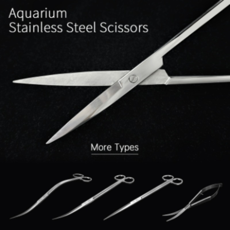 Aquarium Fish Quarantine - Week Aqua Stainless Steel Aquatic Plant