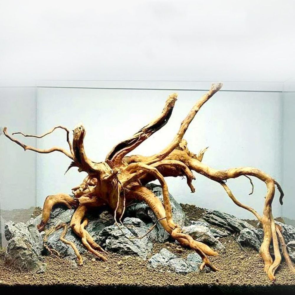 Aquarium Fish Big - 20-25CM Large Aquarium Driftwood Natural Fish