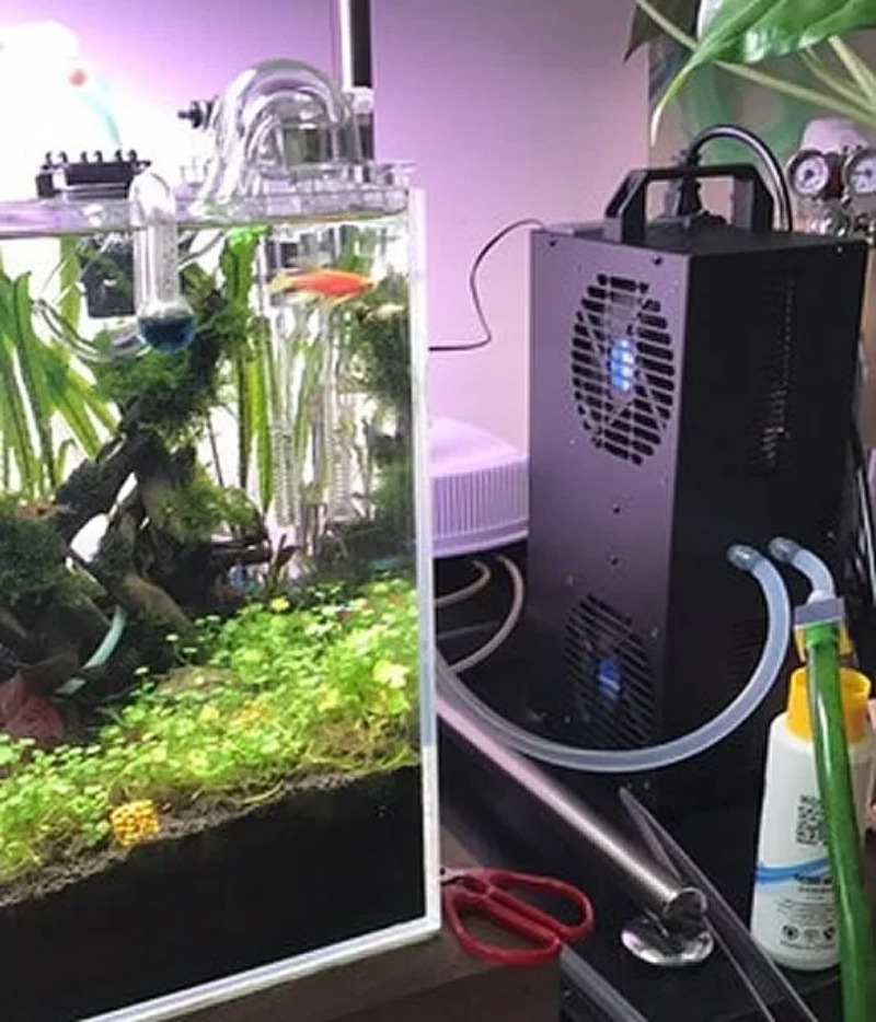 Constant Temperature Adjustabl - đánh giá và giá Aquarium Fish Small