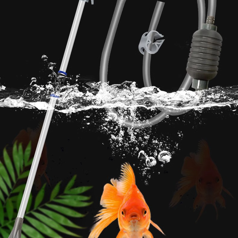 Large Fish Tank Aquarium Sipho - đánh giá và giá Aquarium Fish Big