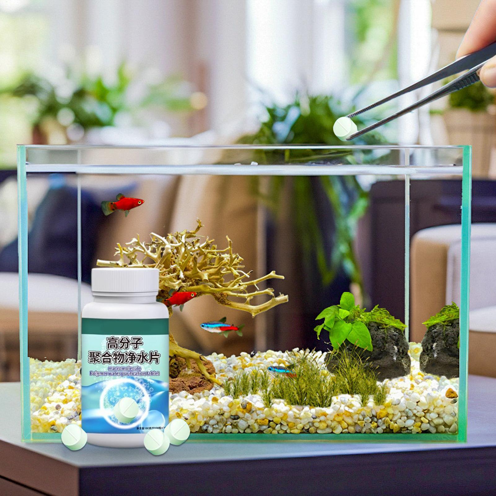 Fish Can Algae Remover Aquariu - đánh giá và giá Aquarium Fishing