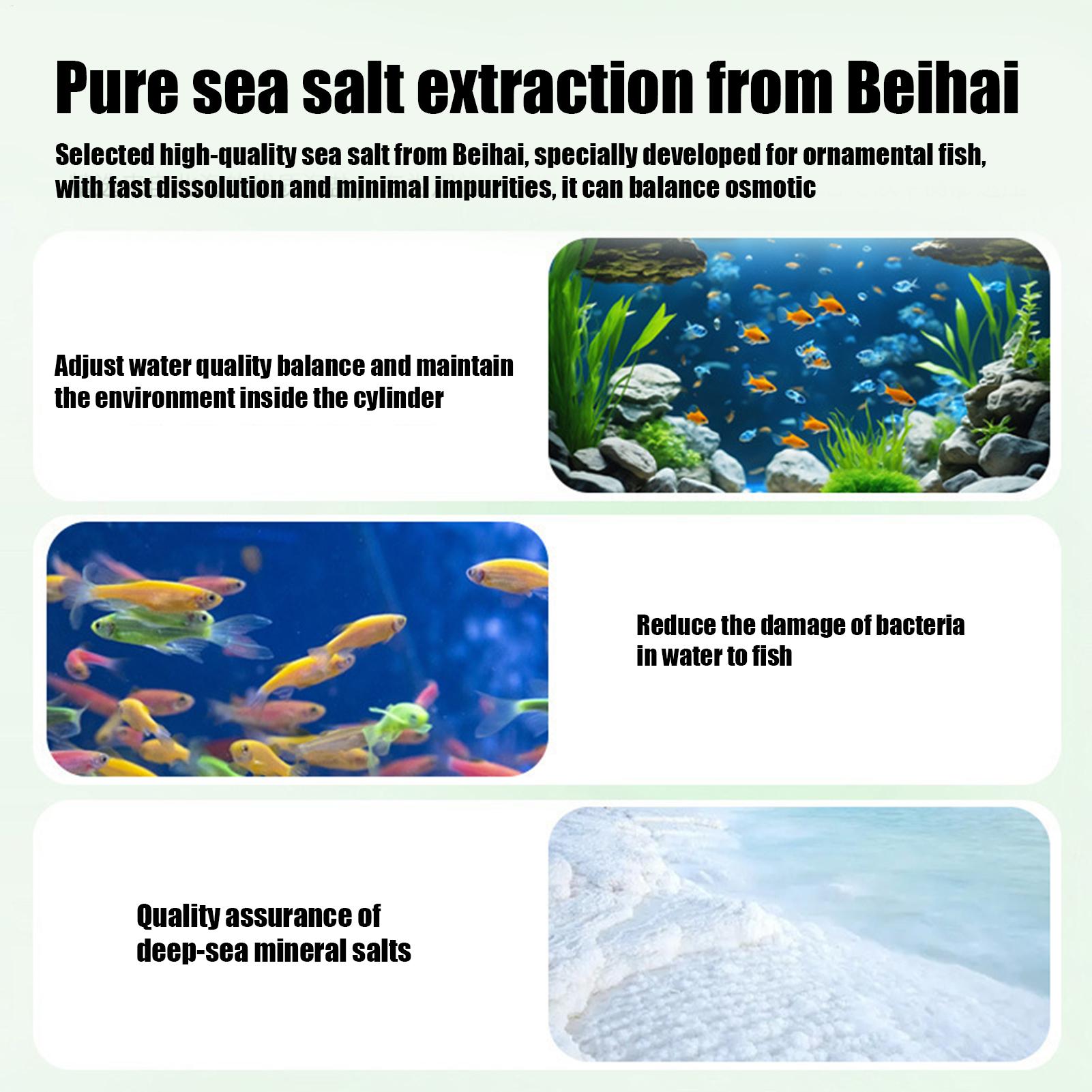 Fish Can Algae Remover Aquariu - đánh giá và giá Aquarium Fishing