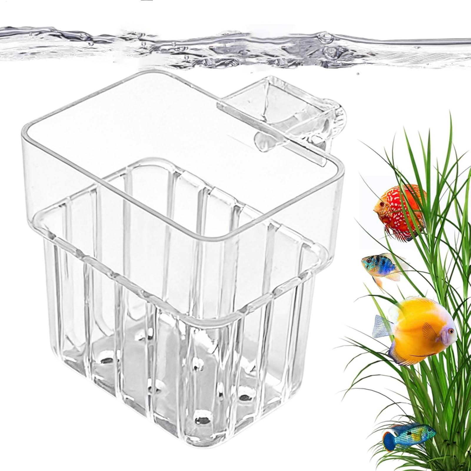 Transparent Hangable Aquarium  - đánh giá và giá Aquarium Fish Names