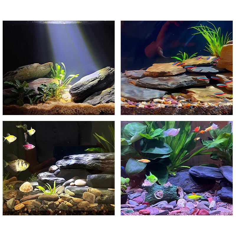 500/1000g Fish Tank Landscape  - đánh giá và giá Aquarium Fish Bowl