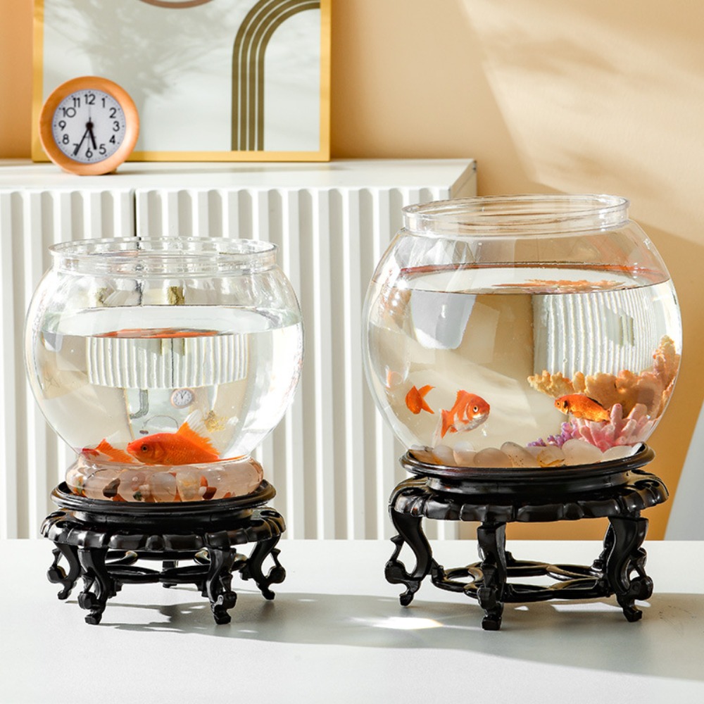 Home Decor Clear Transparent R - đánh giá và giá Aquarium Fish Names