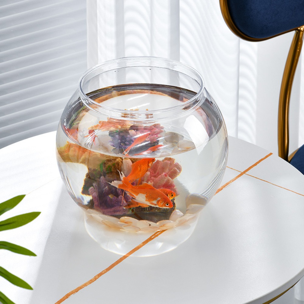 Home Decor Clear Transparent R - đánh giá và giá Aquarium Fish Names