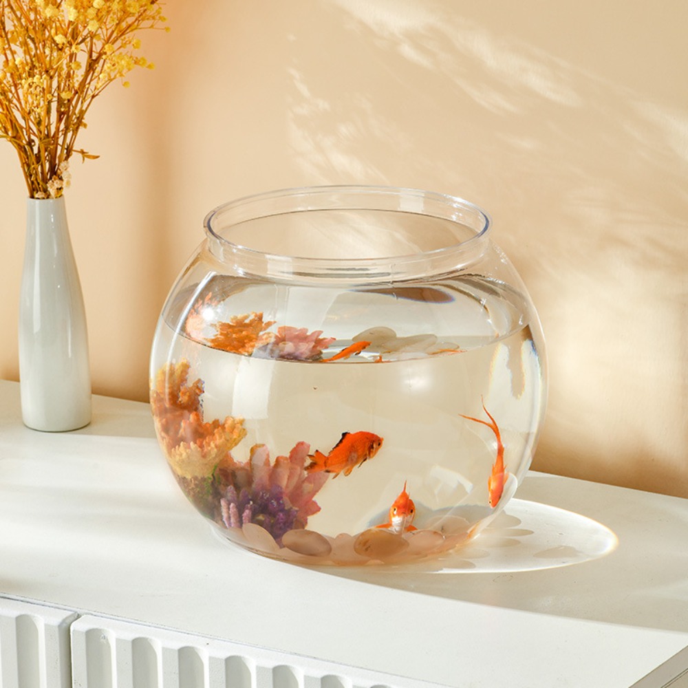 Home Decor Clear Transparent R - đánh giá và giá Aquarium Fish Names