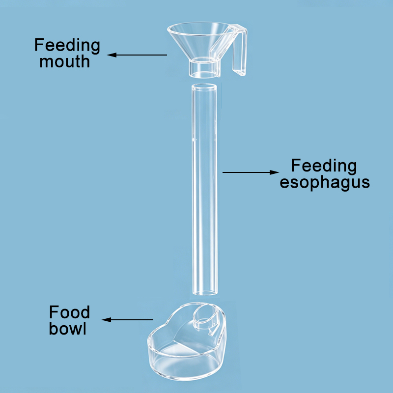 Acrylic Aquarium Fish Feeder T - đánh giá và giá Aquarium Fish Big
