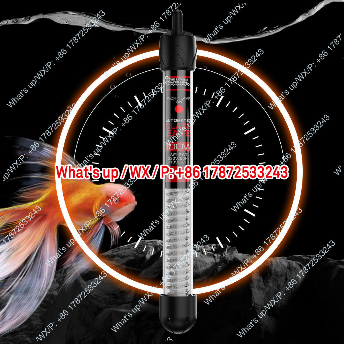 Export foreign trade 110V US s - đánh giá và giá Aquarium Fish Exporter