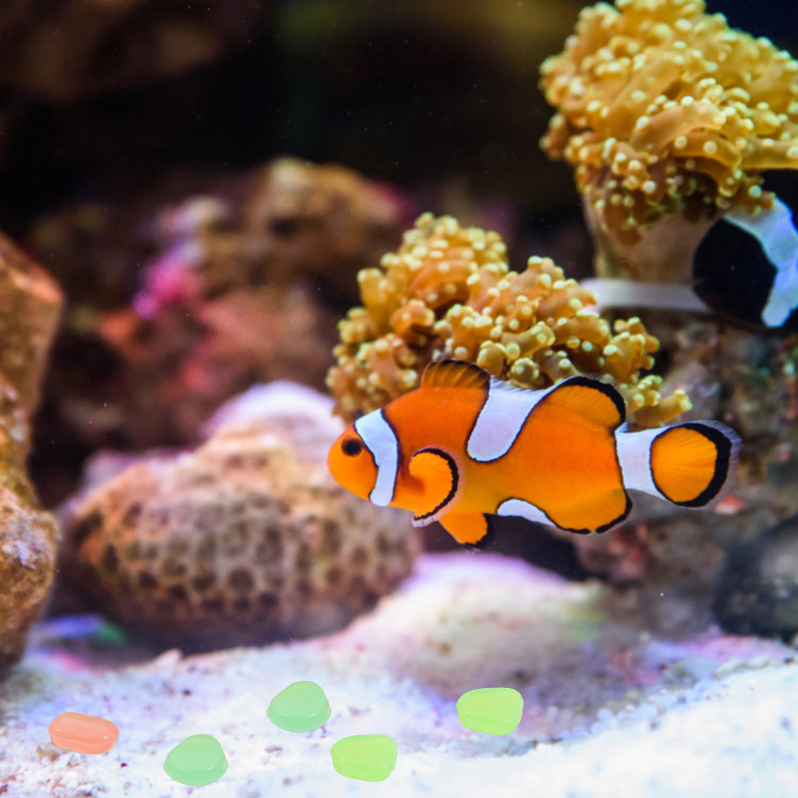 400pcs Night Glow Stones Small - đánh giá và giá Aquarium Fish Glow In The Dark