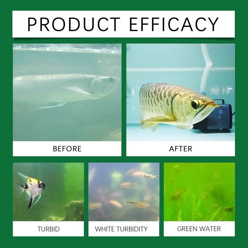 Fish Tank Water Purification T - đánh giá và giá Aquarium Fish Keeping