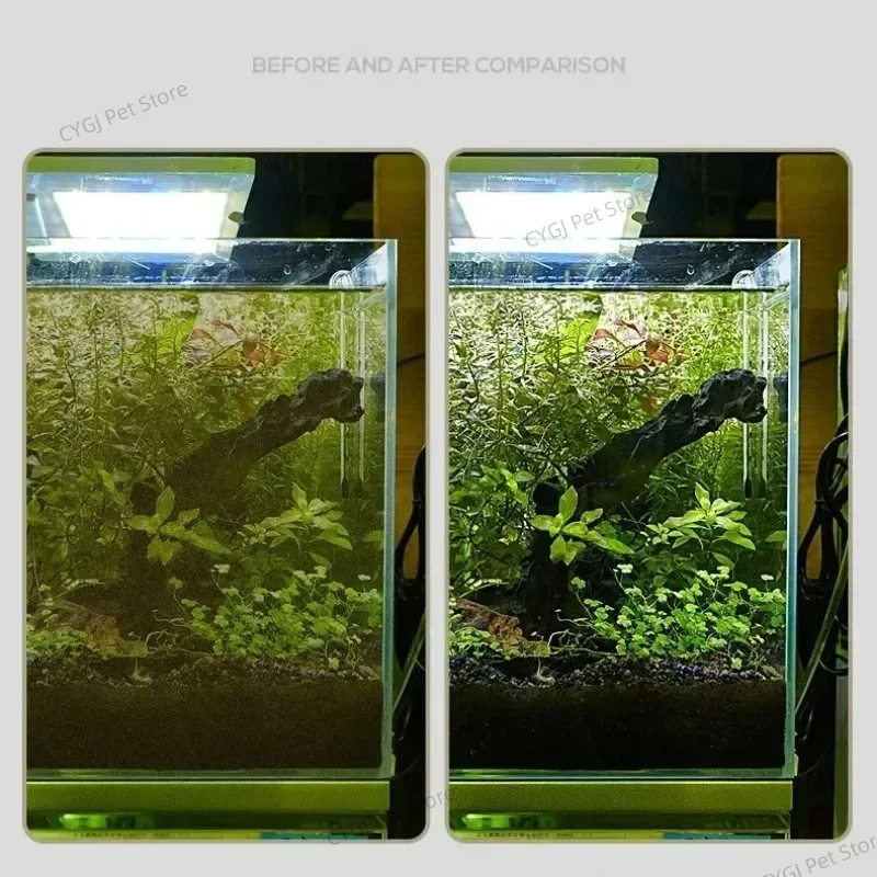 Fish Tank Cleaning Tool Flat S - đánh giá và giá Aquarium Fish Maintenance