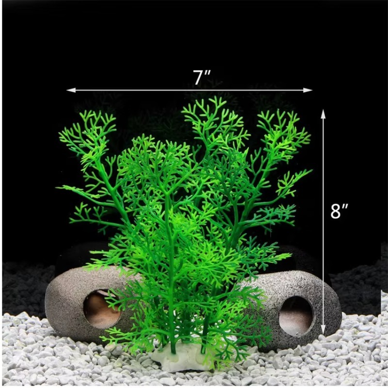 10pcs Hot Selling New Arrival  - đánh giá và giá Aquarium Fish Sale