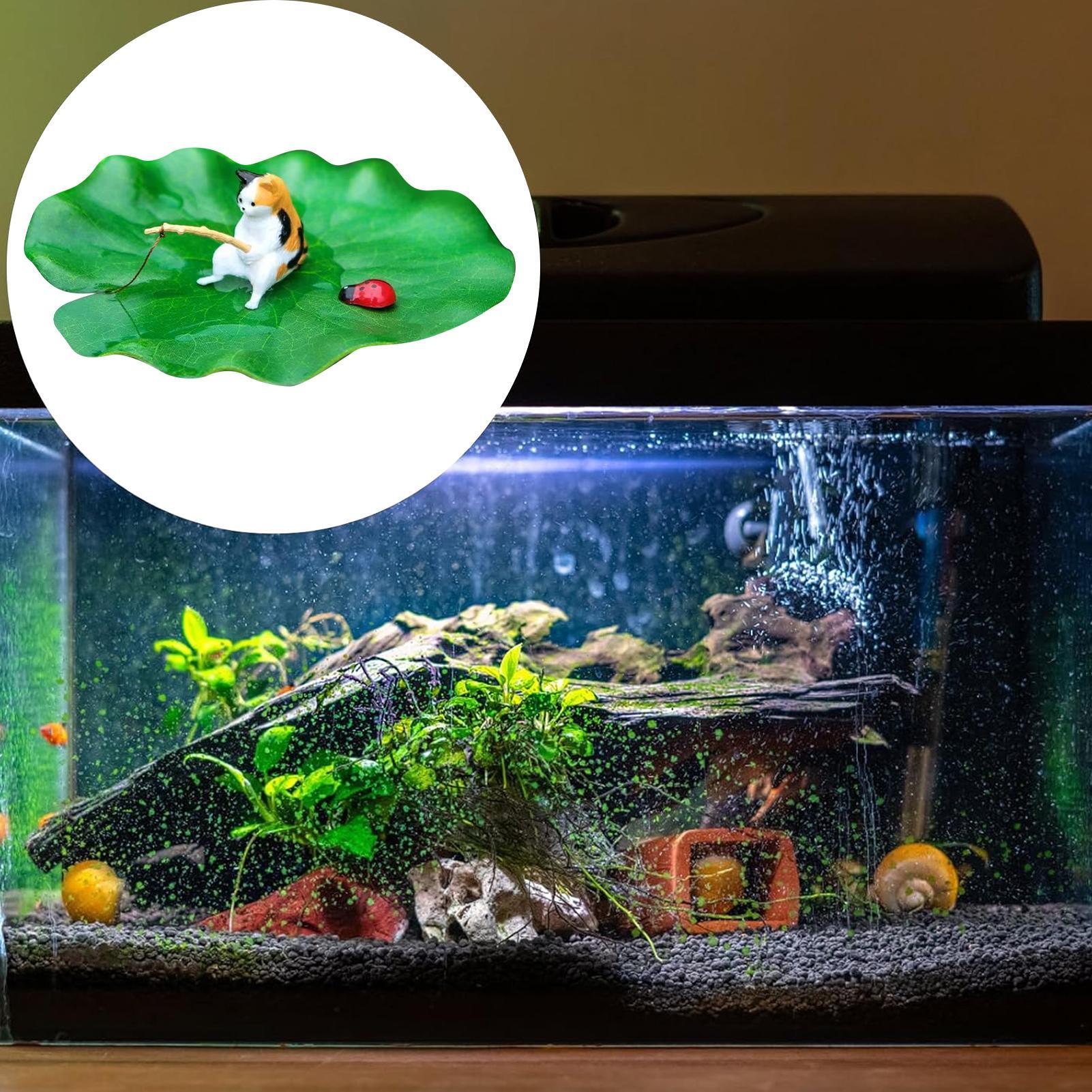 Cat Fishing on Floating Lily P - đánh giá và giá Aquarium Fish Names