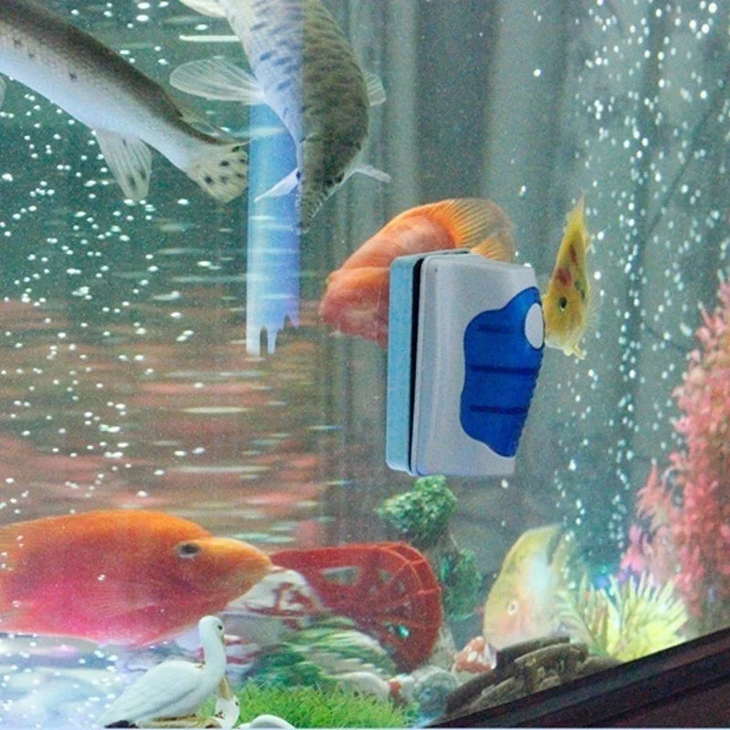 Fish Tank Glass Scraper Cleane - đánh giá và giá Aquarium Fish Maintenance