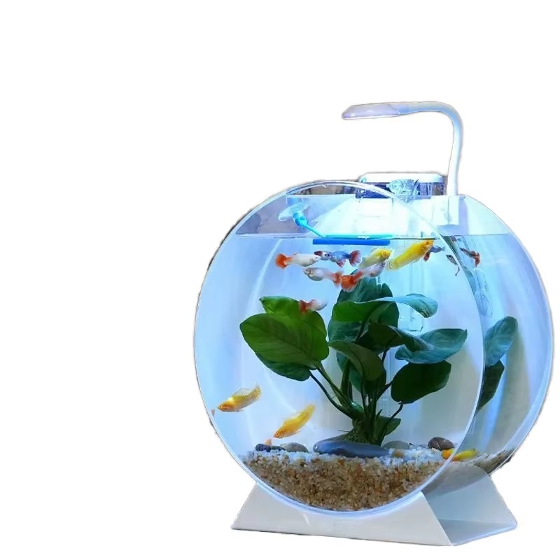 Hot Sale Modern Eco-Friendly A - đánh giá và giá Aquarium Fish Sale