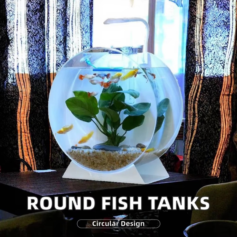 Hot Sale Modern Eco-Friendly A - đánh giá và giá Aquarium Fish Sale