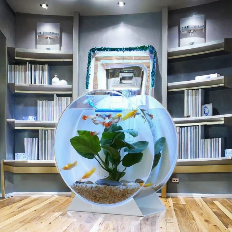 Hot Sale Modern Eco-Friendly A - đánh giá và giá Aquarium Fish Sale