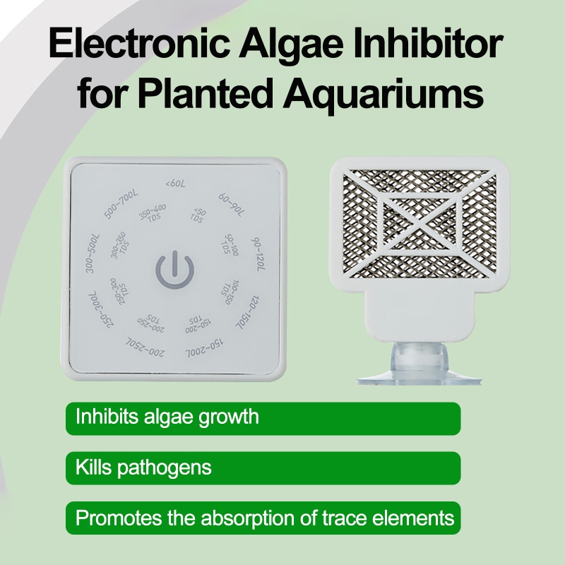 Electronic Aquarium Fish Tank  - đánh giá và giá Aquarium Fish Maintenance