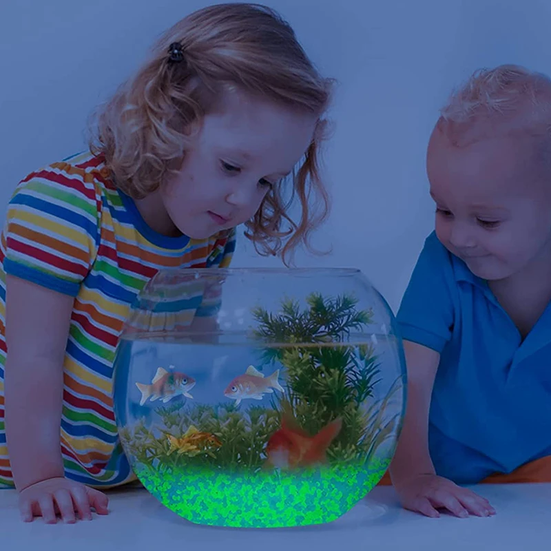 1000pcs 3-5mm Luminous Sand Gl - đánh giá và giá Aquarium Fish Names