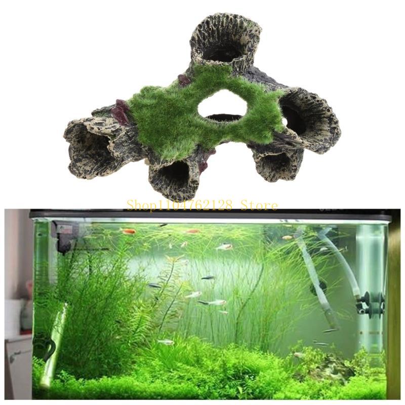 Cá Cho Trang Trí Bể Cá Nơi Ẩn  - đánh giá và giá Aquarium Fish Sale