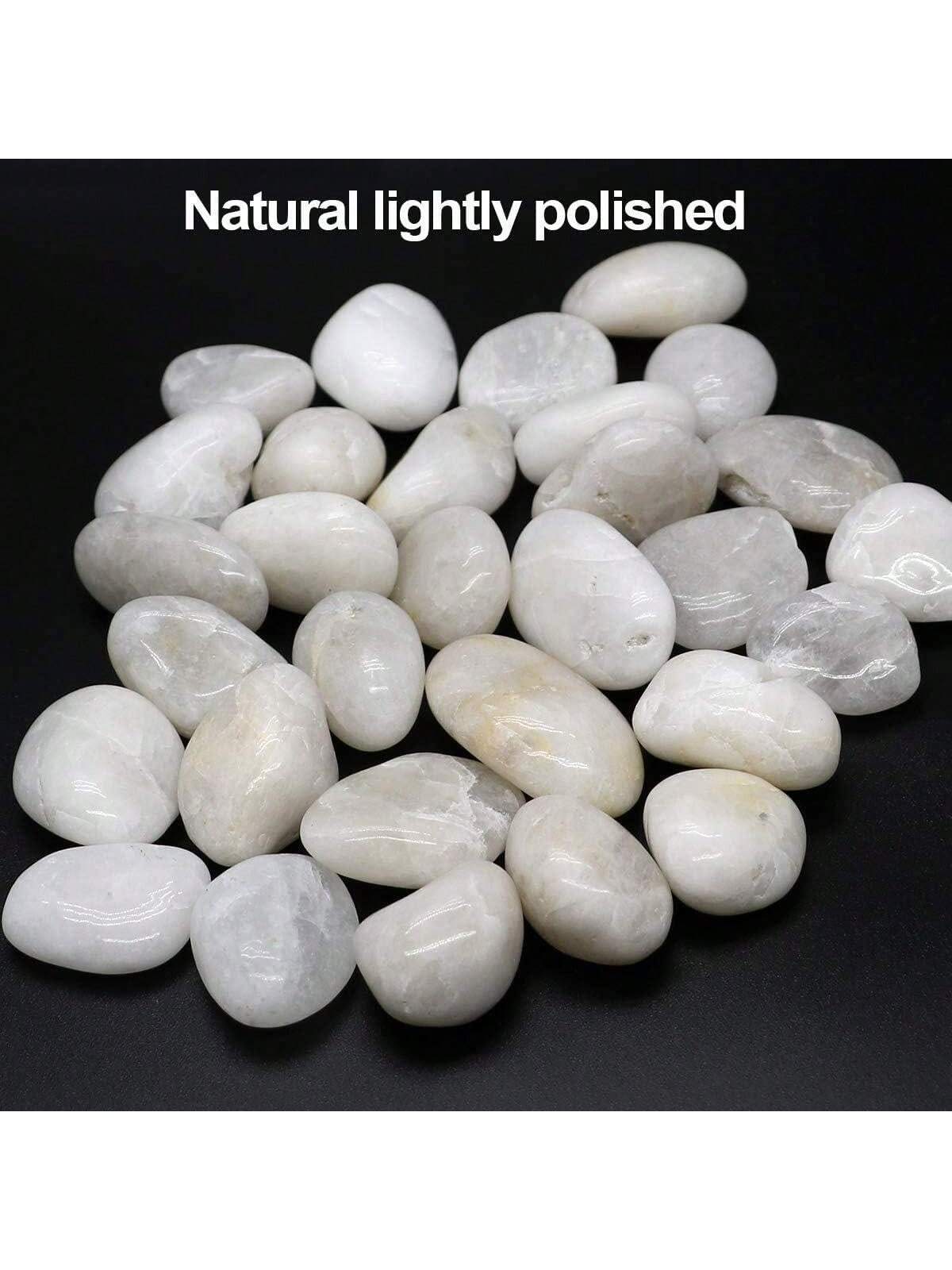 River Rocks Decorative Ornamen - đánh giá và giá Aquarium Fish Big