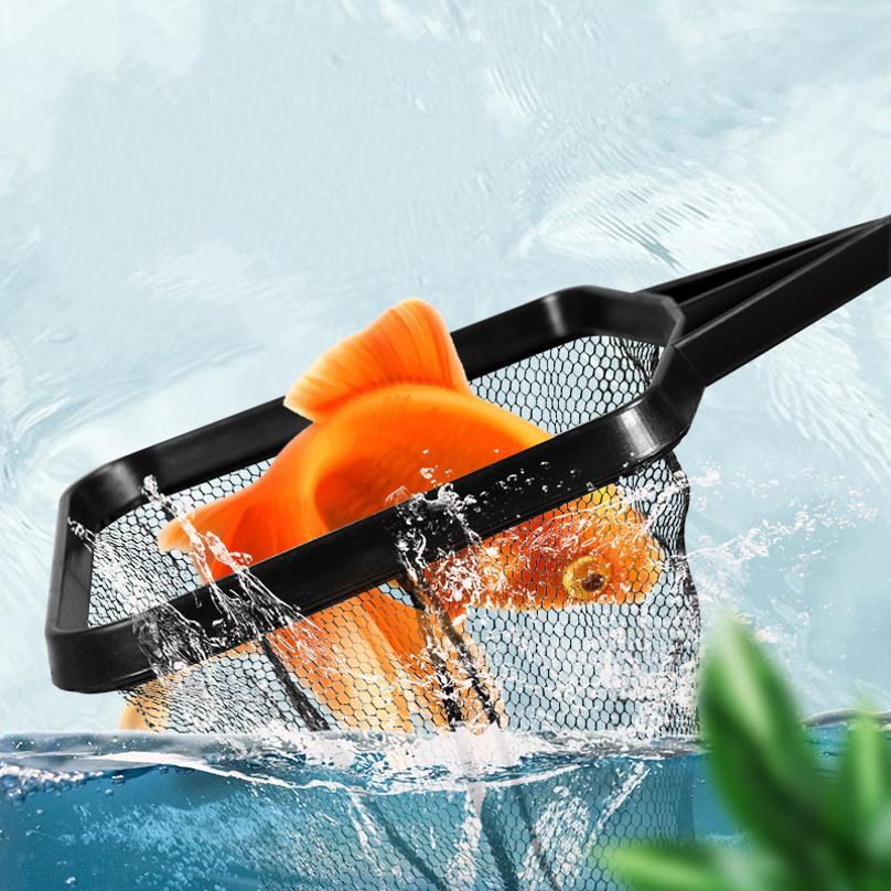Fish Fishing Plastic Telescopi - đánh giá và giá Aquarium Fish Big