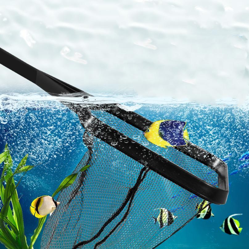 Fish Fishing Plastic Telescopi - đánh giá và giá Aquarium Fish Big