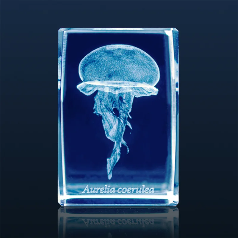 Japan Gashapon Jellyfish 3D Cr - đánh giá và giá Aquarium Fish Keeping