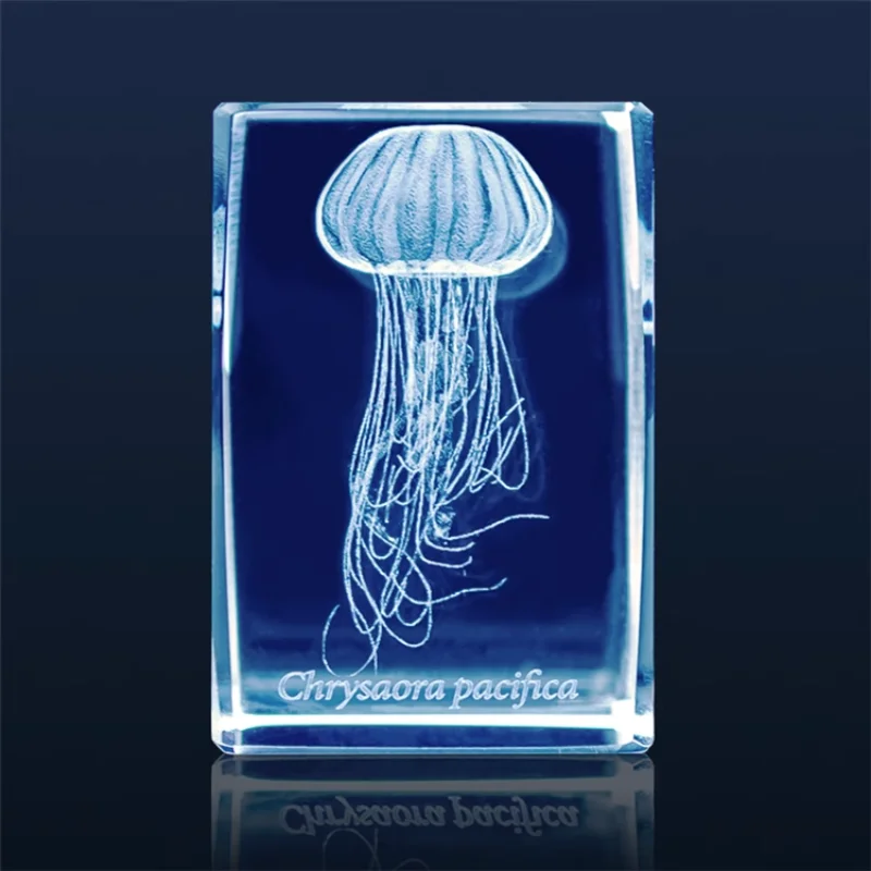 Japan Gashapon Jellyfish 3D Cr - đánh giá và giá Aquarium Fish Keeping