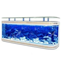 C Z Large Custom Glass Clear L - đánh giá và giá Aquarium Fish Big