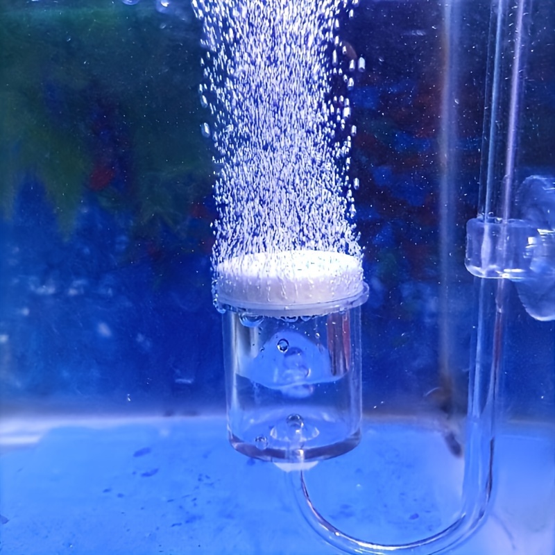 Aquarium Glass CO2 Atomizer Di - đánh giá và giá Aquarium Fish Quarantine