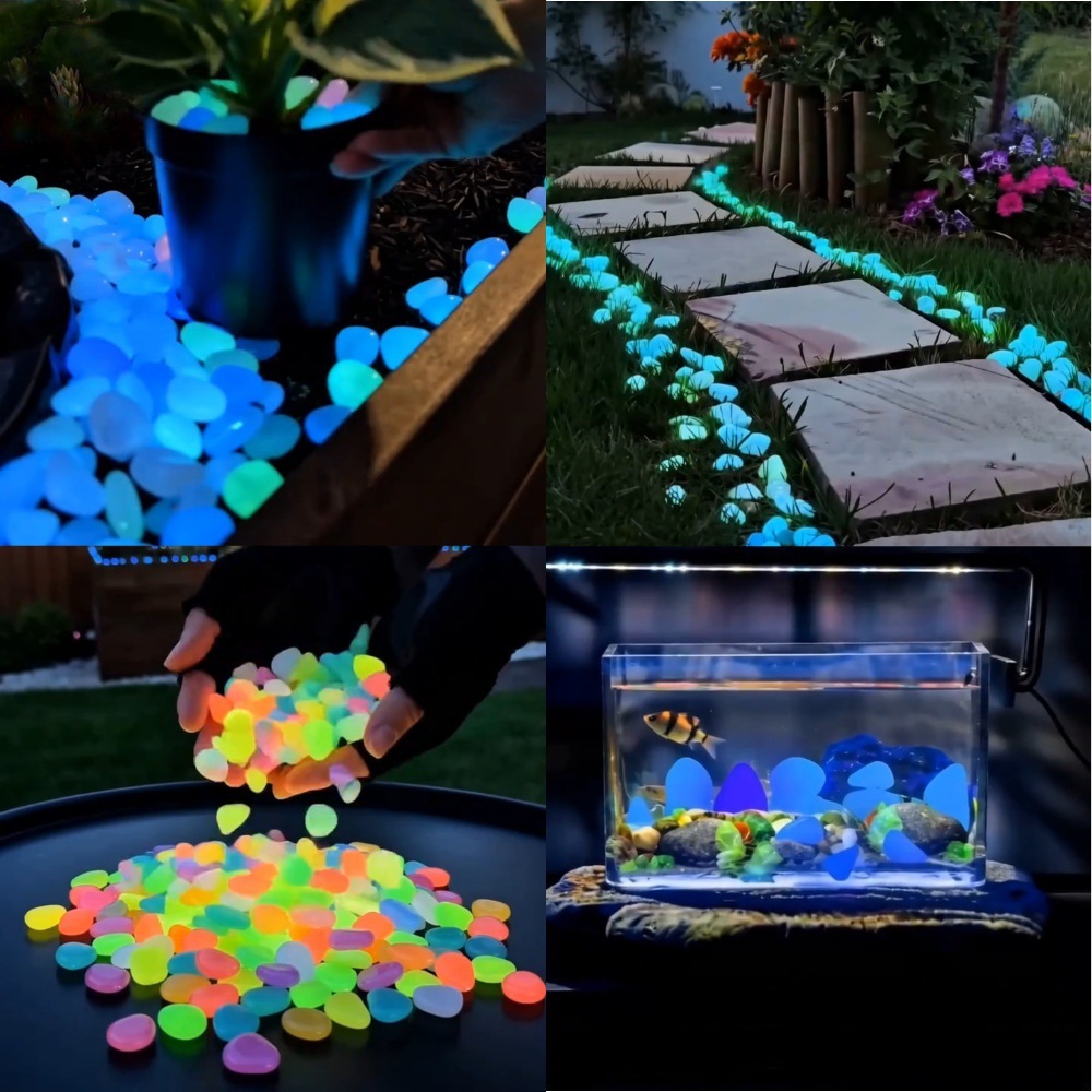 Colorful Glow In The Dark Lumi - đánh giá và giá Aquarium Fish Glow In The Dark