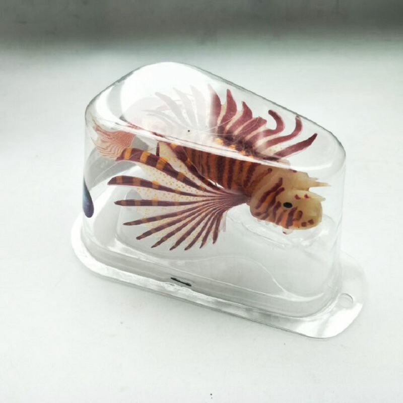 Novel and Funny Toy Fish Tank  - đánh giá và giá Aquarium Fish Exporter