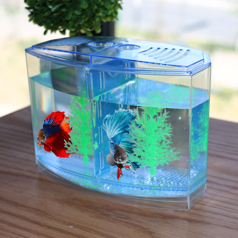 Novel and Funny Toy Creative F - đánh giá và giá Aquarium Fish Keeping