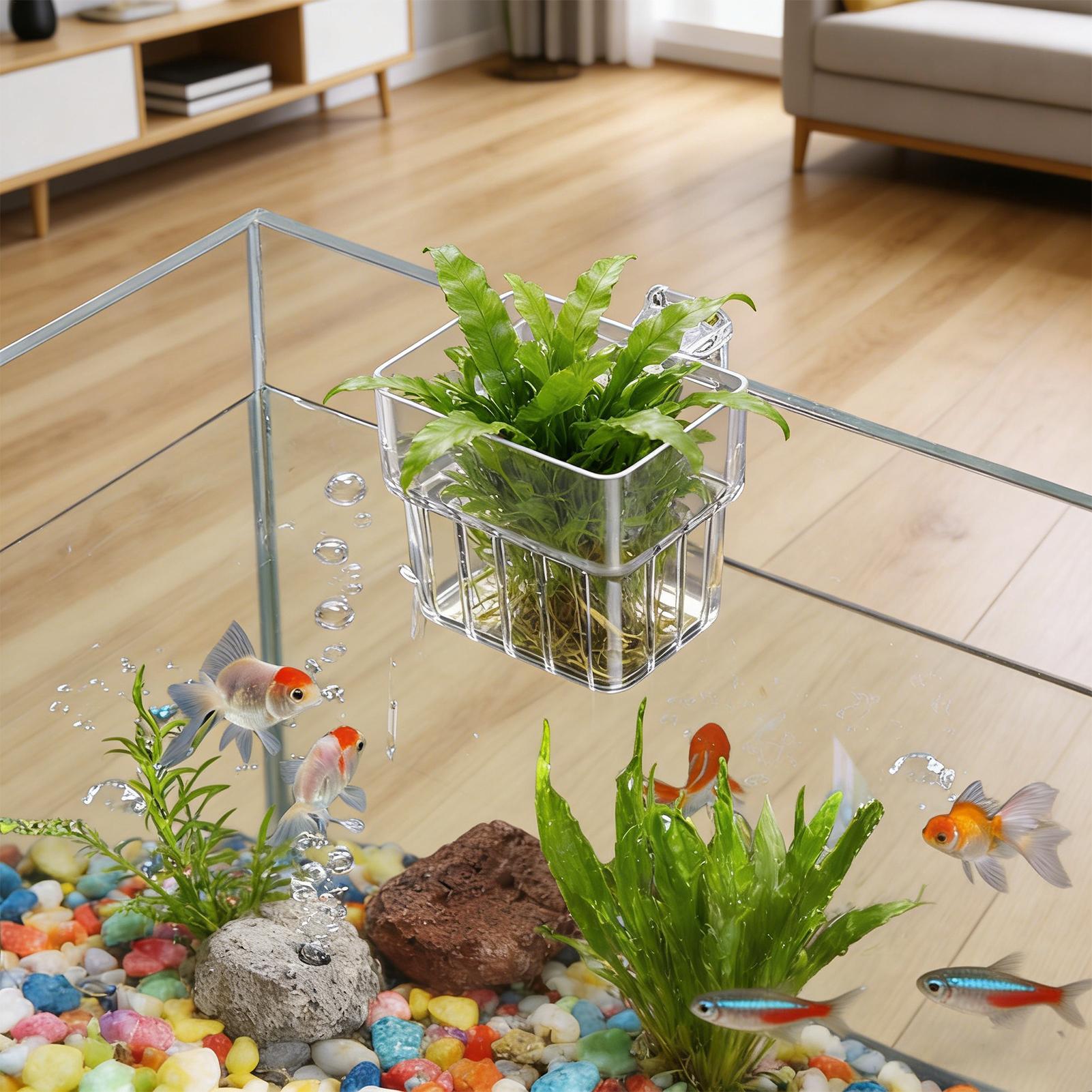Transparent Hangable Aquarium  - đánh giá và giá Aquarium Fish Names