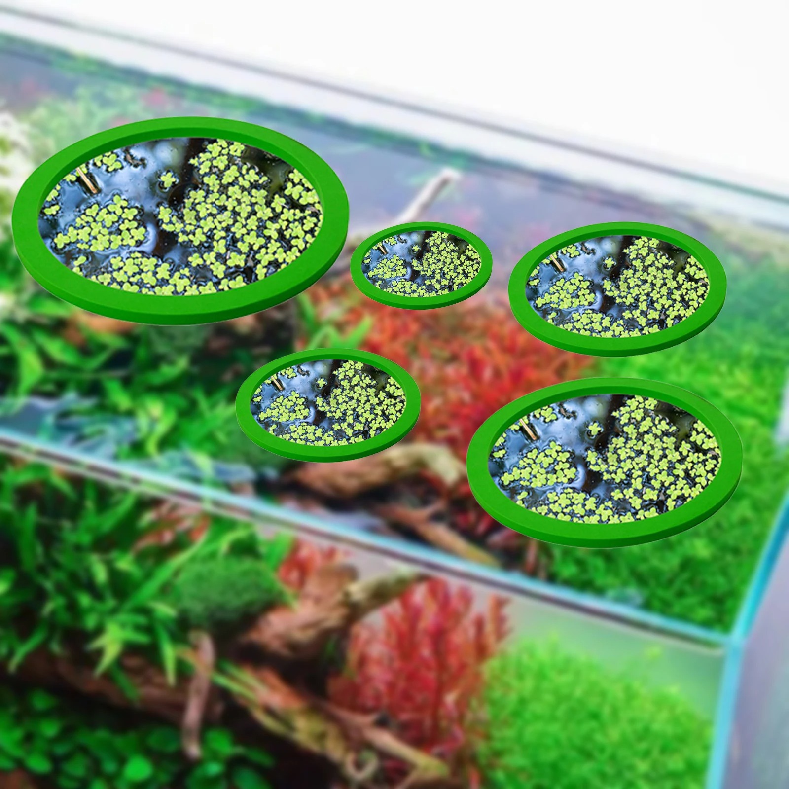5Pcs EVA Fish Feeding Ring Aqu - đánh giá và giá Aquarium Fish Bowl