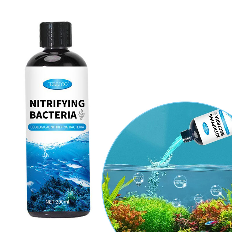 Nitrifying Bacteria Liquid Fis - đánh giá và giá Aquarium Fishing