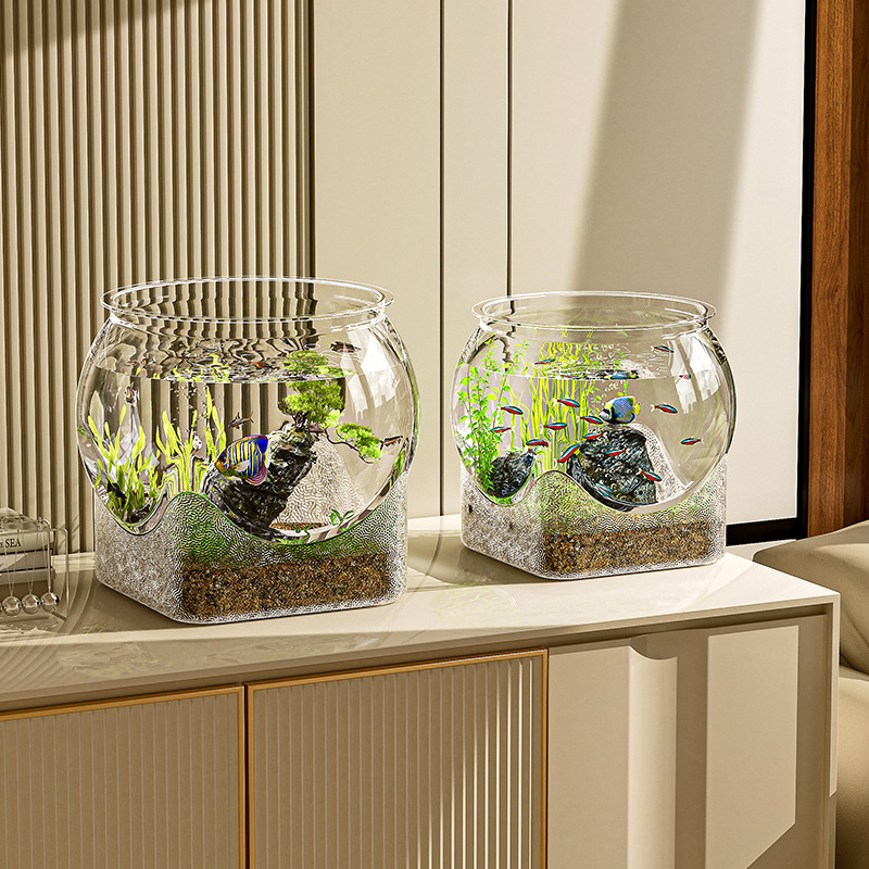 Fish Tank Aquarium Transparent - đánh giá và giá Aquarium Fish Names