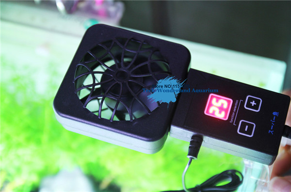 Mini nano clip treo trên quạt  - đánh giá và giá Aquarium Fish Quarantine
