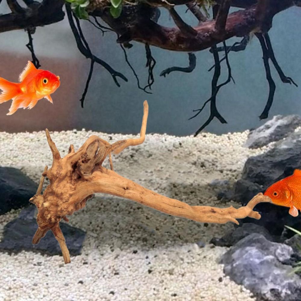 20-25CM Large Aquarium Driftwo - đánh giá và giá Aquarium Fish Big