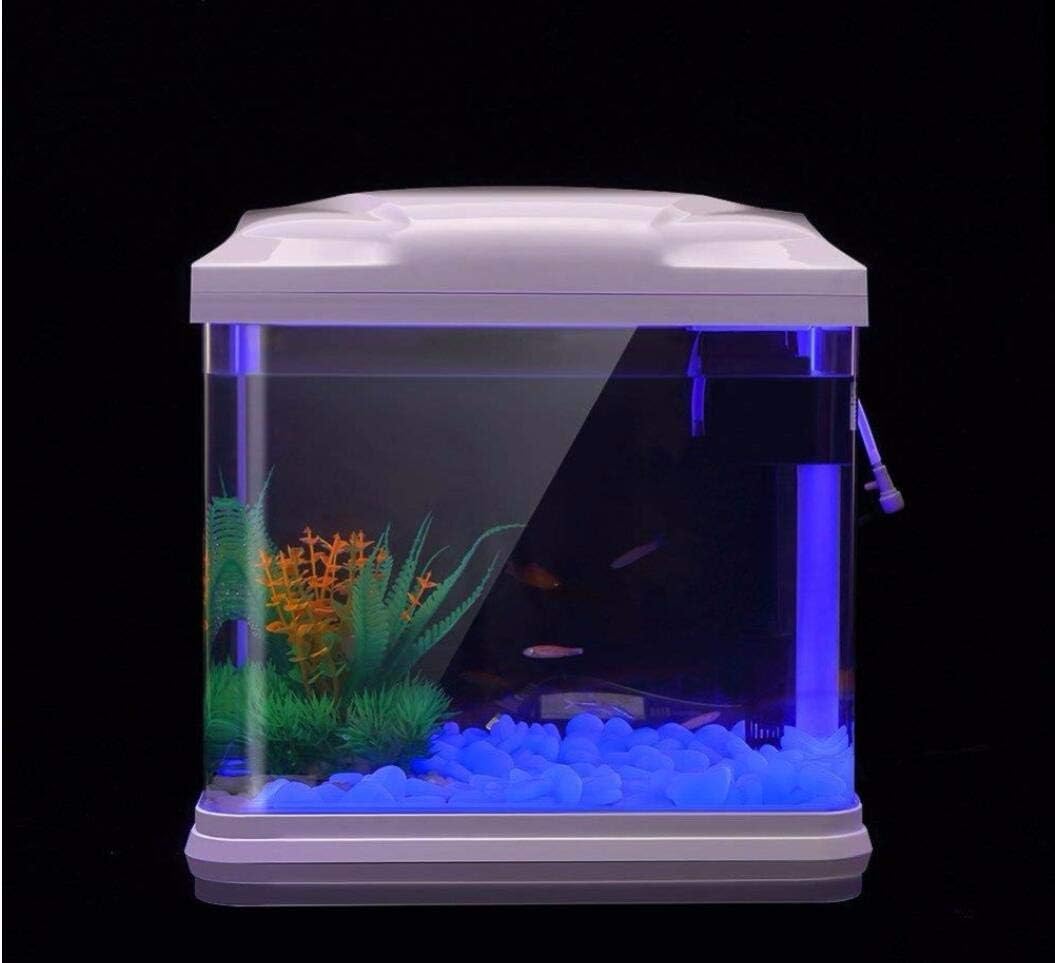 Fish Tank Rocks Glow Blue Pebb - đánh giá và giá Aquarium Fish Bowl