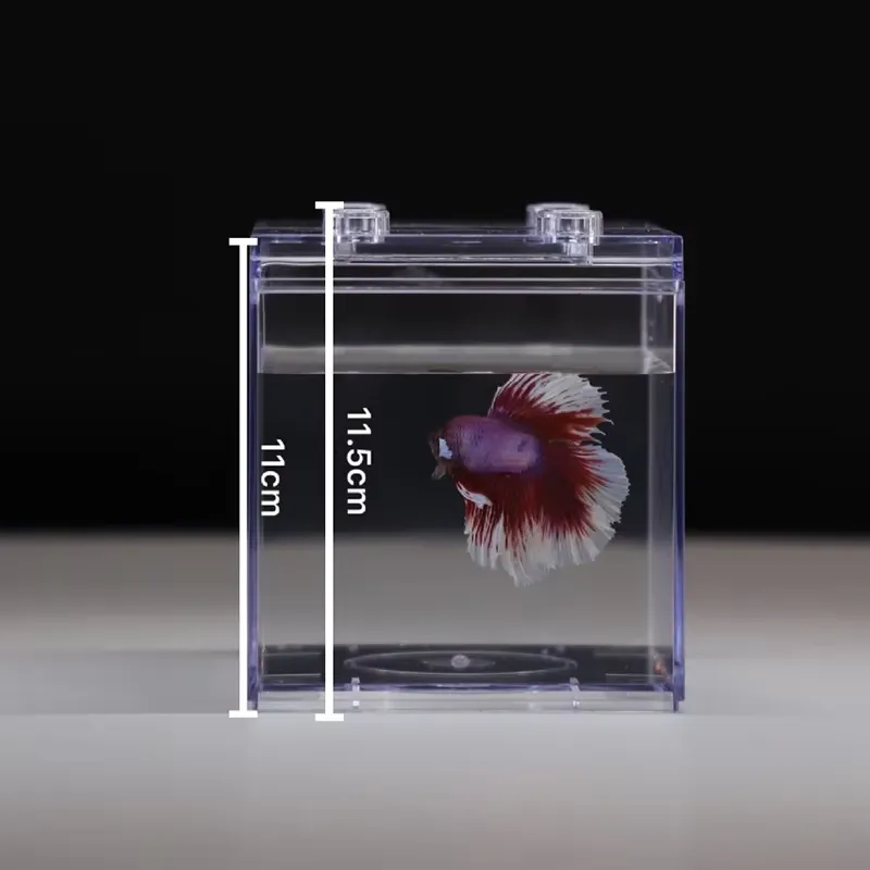 Relaxlines Mini Aquarium Box T - đánh giá và giá Aquarium Fish Small