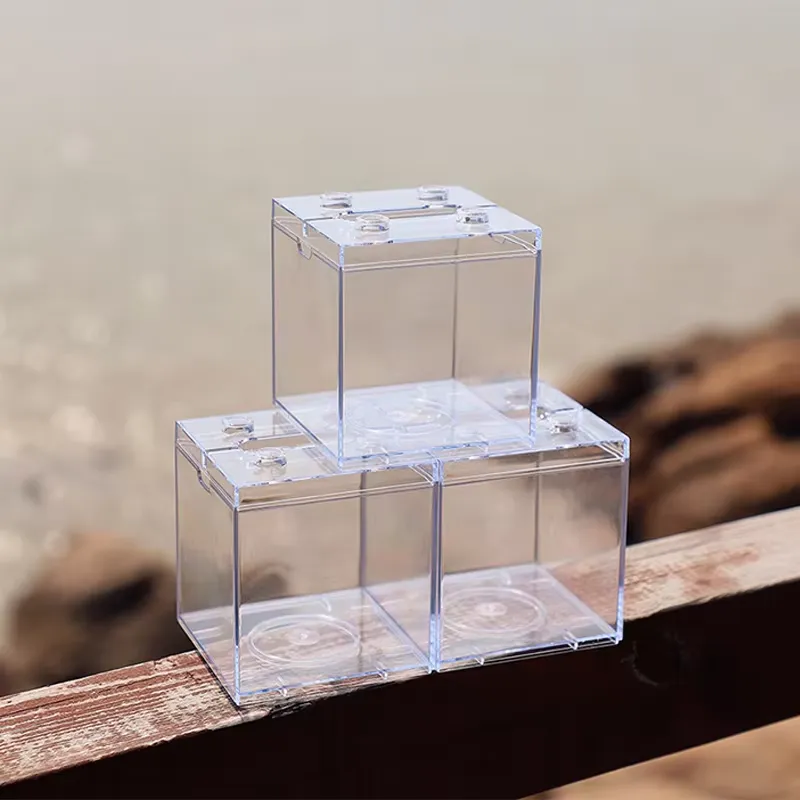 Relaxlines Mini Aquarium Box T - đánh giá và giá Aquarium Fish Small