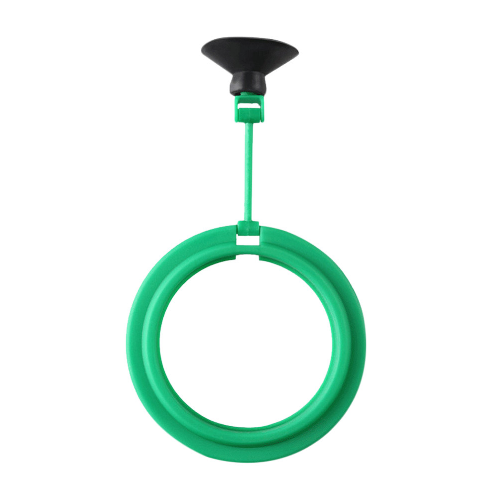 2Pcs Fish Feeding Ring Floatin - đánh giá và giá Aquarium Fish Keeping