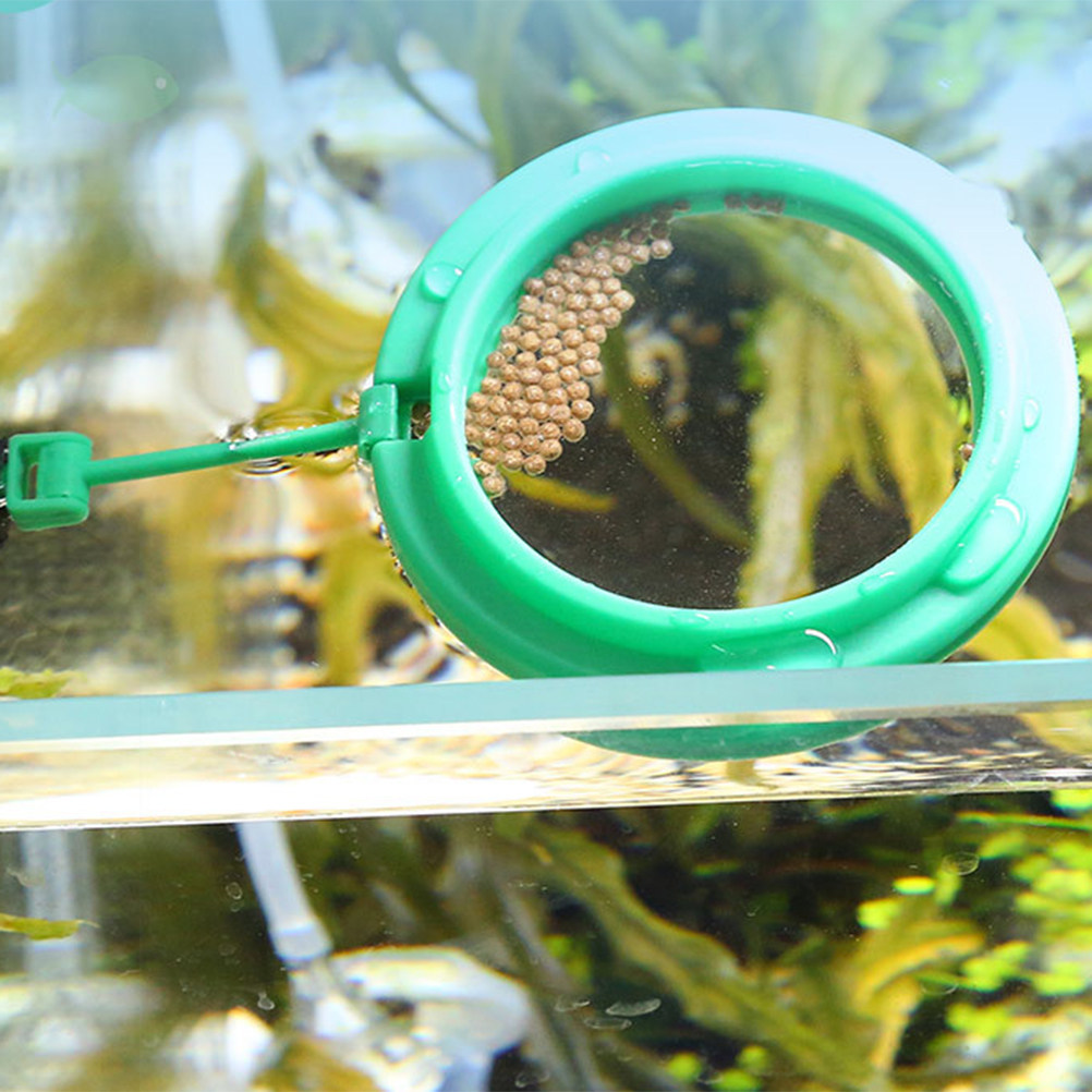 2Pcs Fish Feeding Ring Floatin - đánh giá và giá Aquarium Fish Keeping