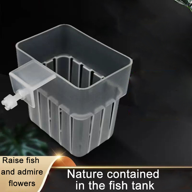 Aquarium Transparent Hydroponi - đánh giá và giá Aquarium Fish Big