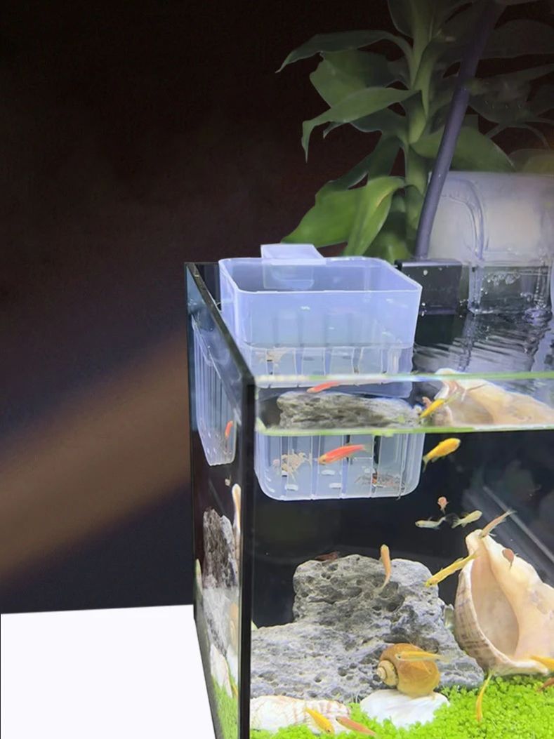 Aquarium Transparent Hydroponi - đánh giá và giá Aquarium Fish Big